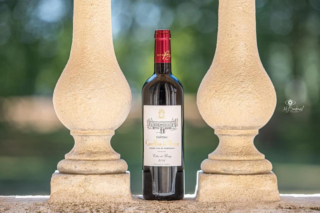 Chateau Couffins Asques 外观 照片